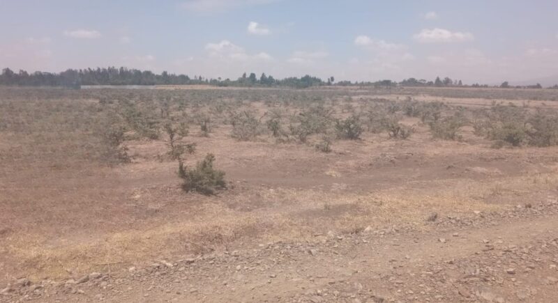 30 acres land at Kwa-Ireri Nanyuki
