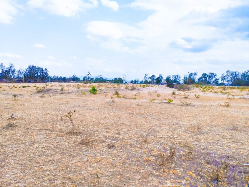 10 acres land at Ngoliba Thika-along Garissa road