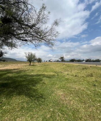 24 Acres for Sale nar Lake Naivasha