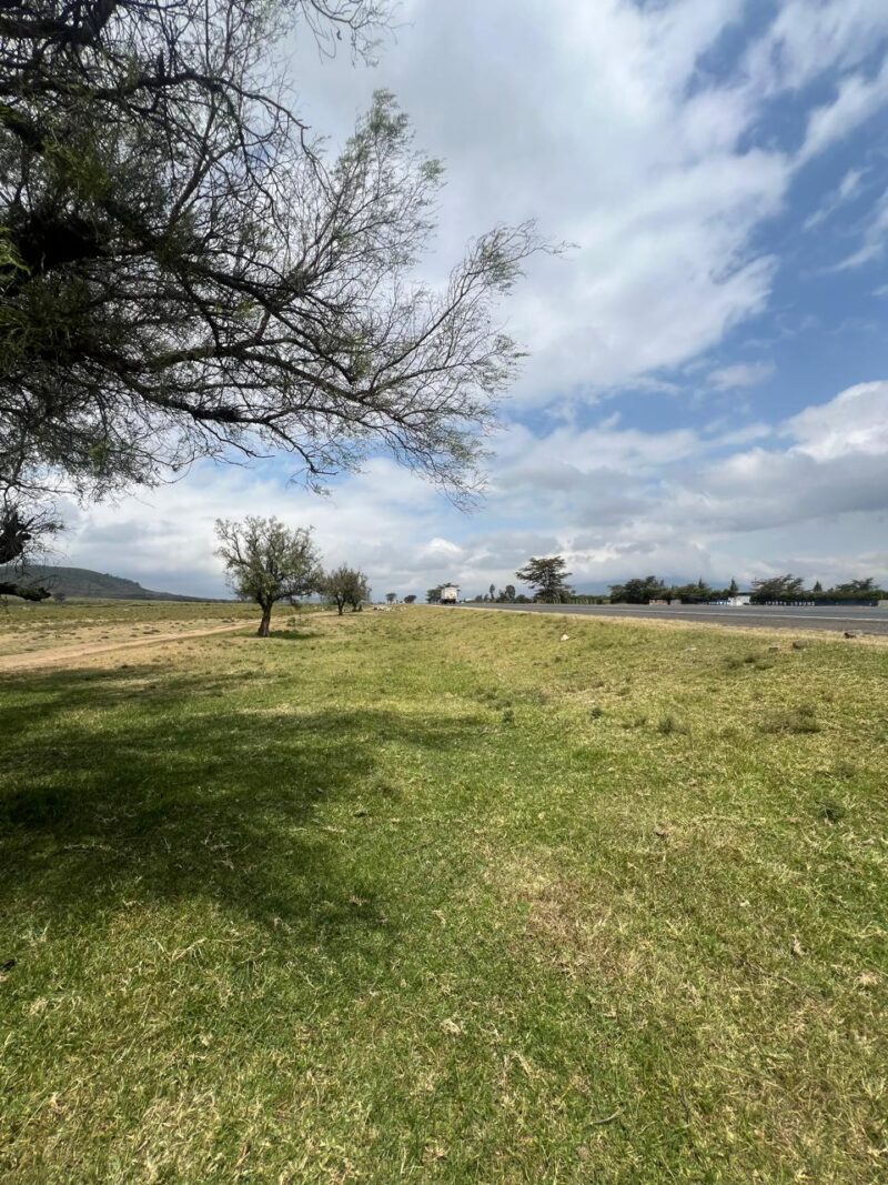 24 Acres for Sale nar Lake Naivasha