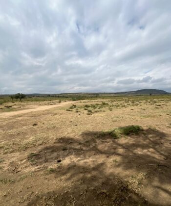 6 Acres for Sale in Naivasha | Highway Frontage | KES 5.5M/Acre