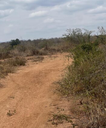 Land for Sale in Matuu – 8 & 7 Acres | KES 1.5M Per Acre
