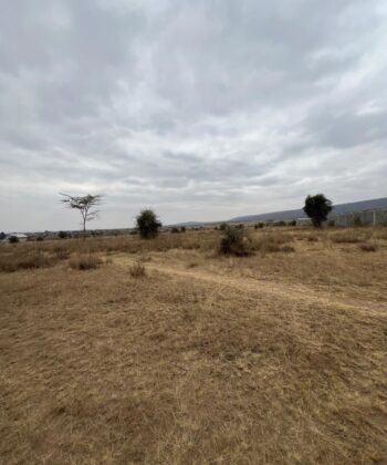 (Five) 5-Acre & (One) 3-Acre Land Blocks for Sale – Athi River
