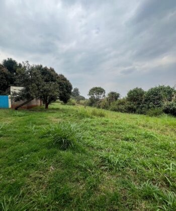 4 Acres for Sale at Ngenia Githunguri – KSh 27M