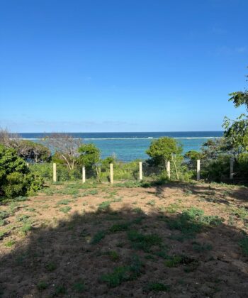 25 Acres Beachfront Land for Sale at Tiwi Beach | KSh 20M/Acre
