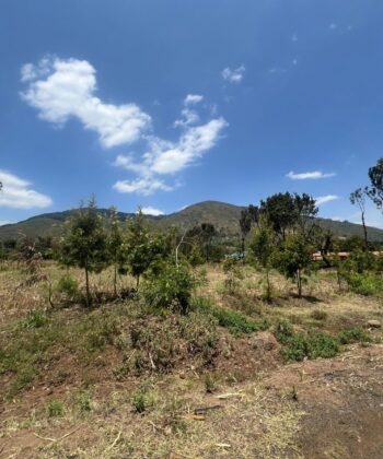 106 Acres Prime Land/Ranch for Sale in Meru  | Reenka Properties