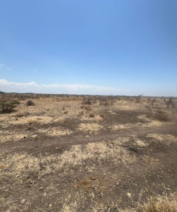Two 2-Acre Parcels For Sale at Mwalimu Farm, Joska |