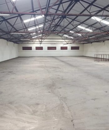 WhatsApp Image 2025-10-08 at 12.04.20 (5)