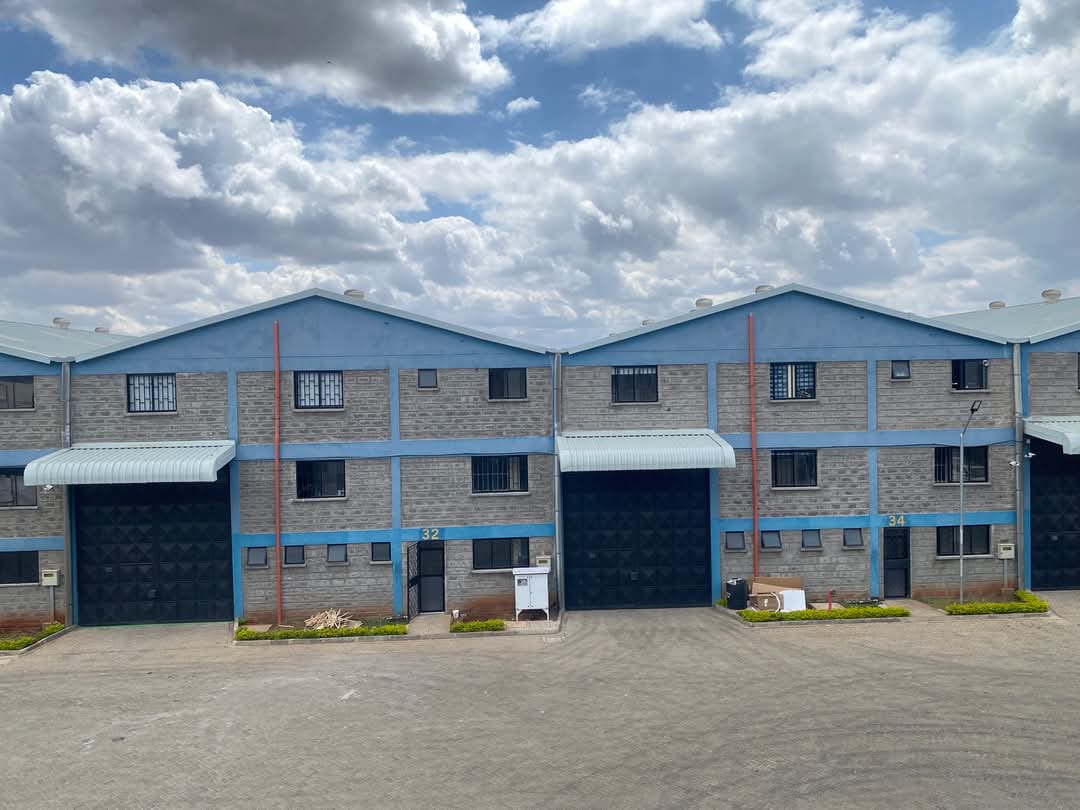 WhatsApp Image 2025-10-27 at 15.58.53 (1)