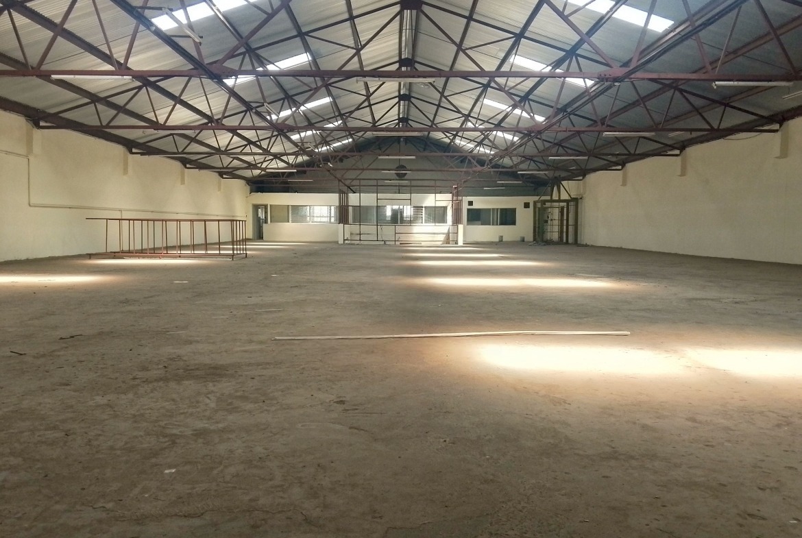 WhatsApp Image 2025-10-27 at 16.52.37