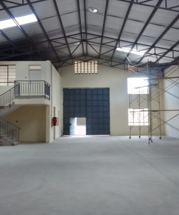 WhatsApp Image 2025-11-03 at 12.49.48