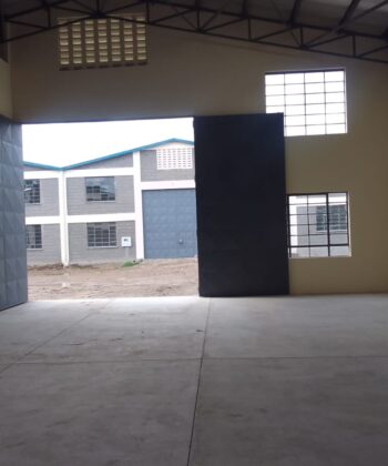 WhatsApp Image 2025-11-03 at 12.49.49 (1)