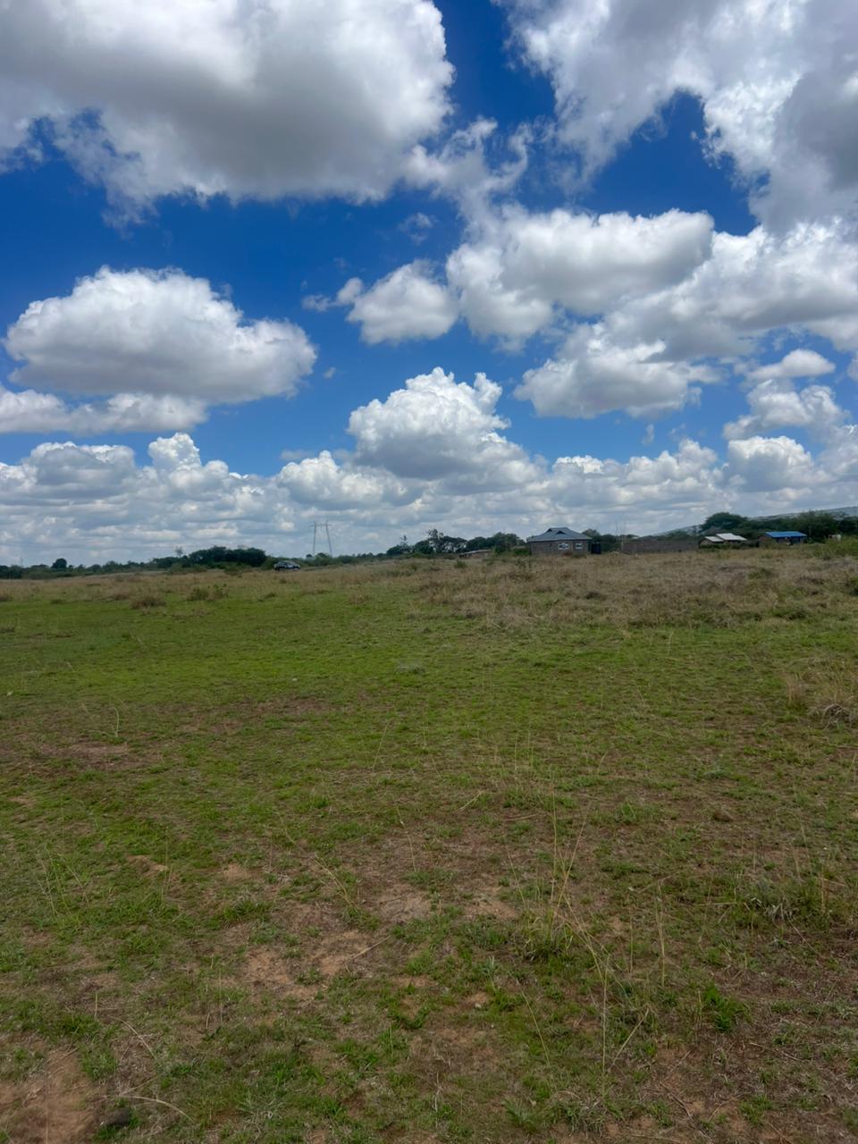 WhatsApp Image 2025-11-06 at 11.57.31