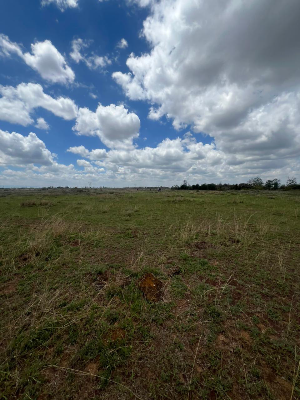 WhatsApp Image 2025-11-06 at 11.57.44