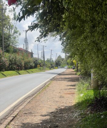 WhatsApp Image 2025-11-17 at 11.59.14 (2)