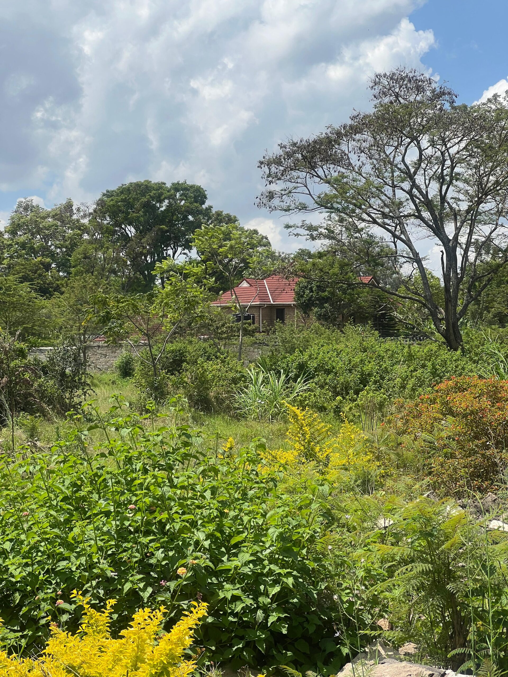 WhatsApp Image 2025-11-17 at 11.59.14