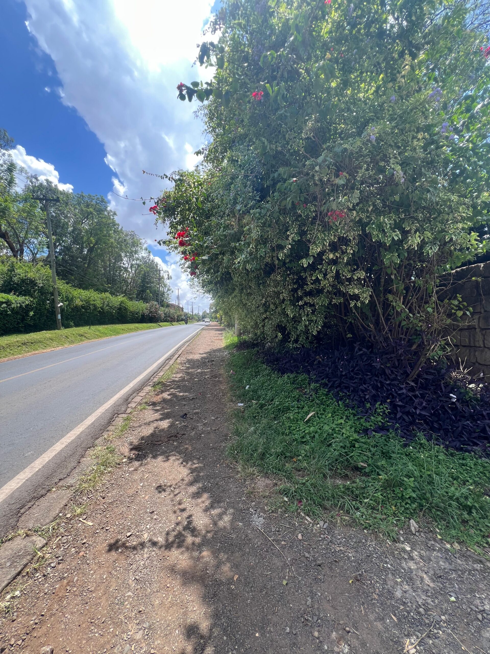 WhatsApp Image 2025-11-17 at 11.59.15 (1)