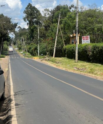 WhatsApp Image 2025-11-17 at 11.59.15