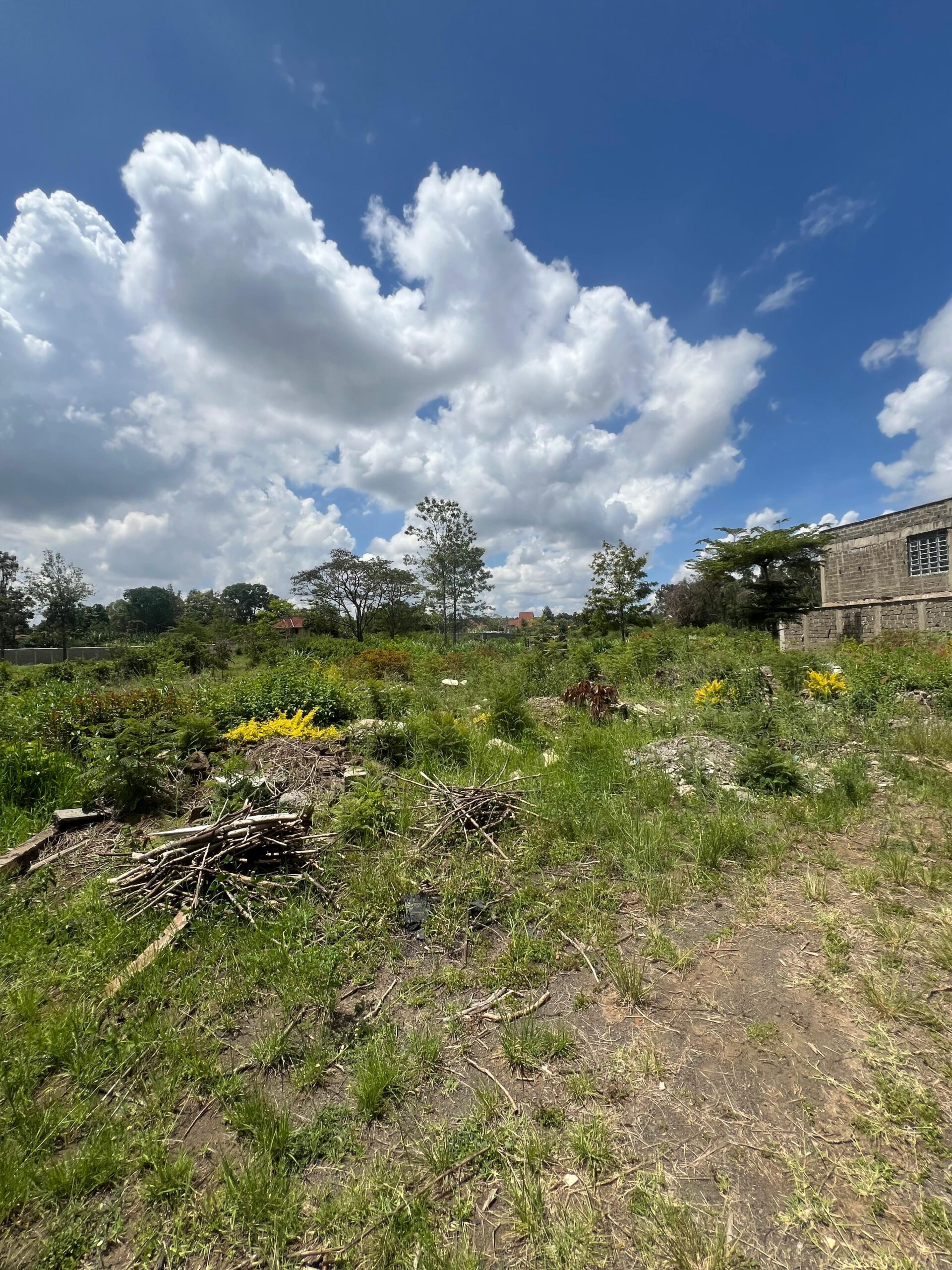 WhatsApp Image 2025-11-17 at 11.59.16