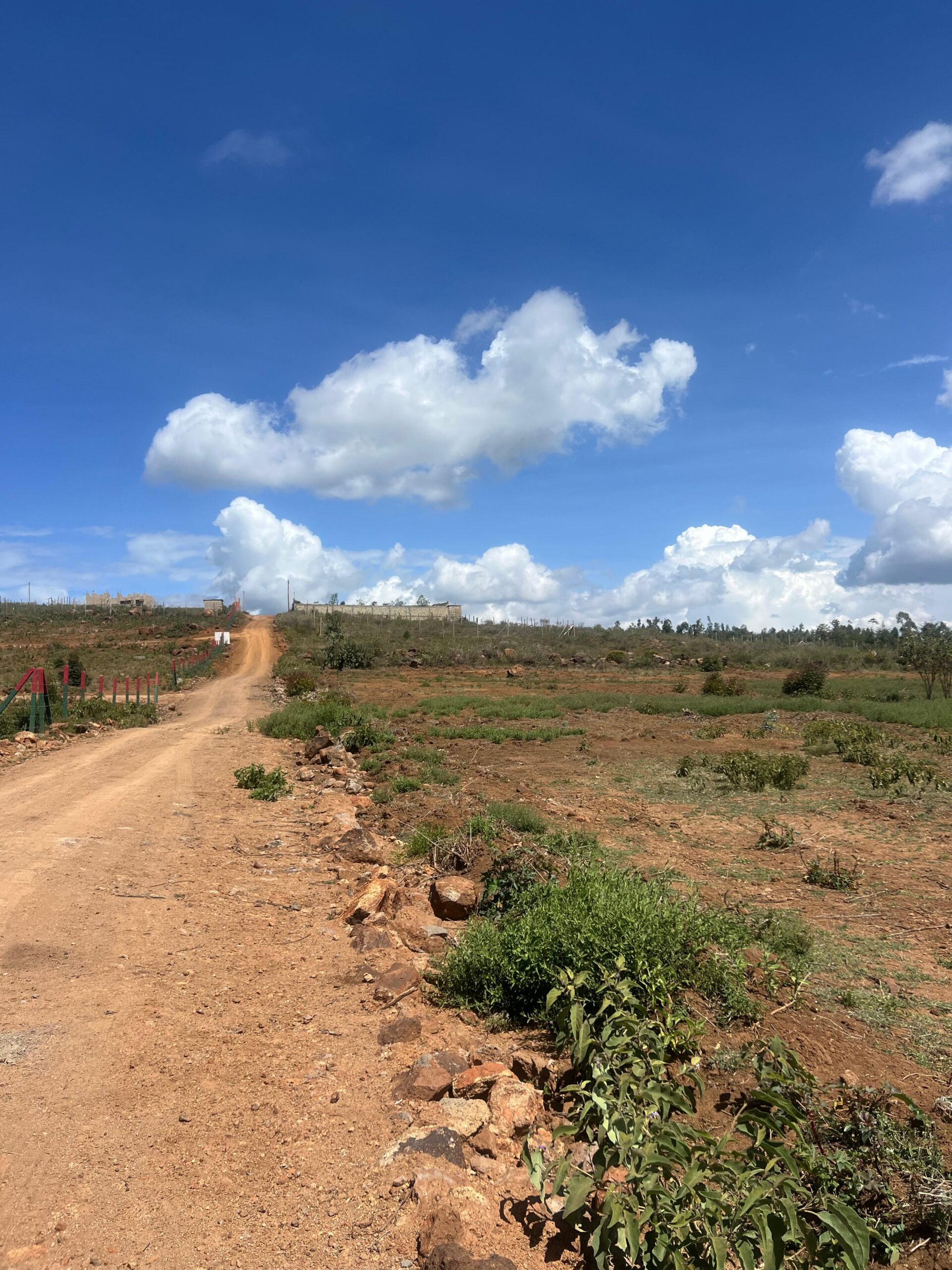 WhatsApp Image 2025-11-18 at 14.04.45