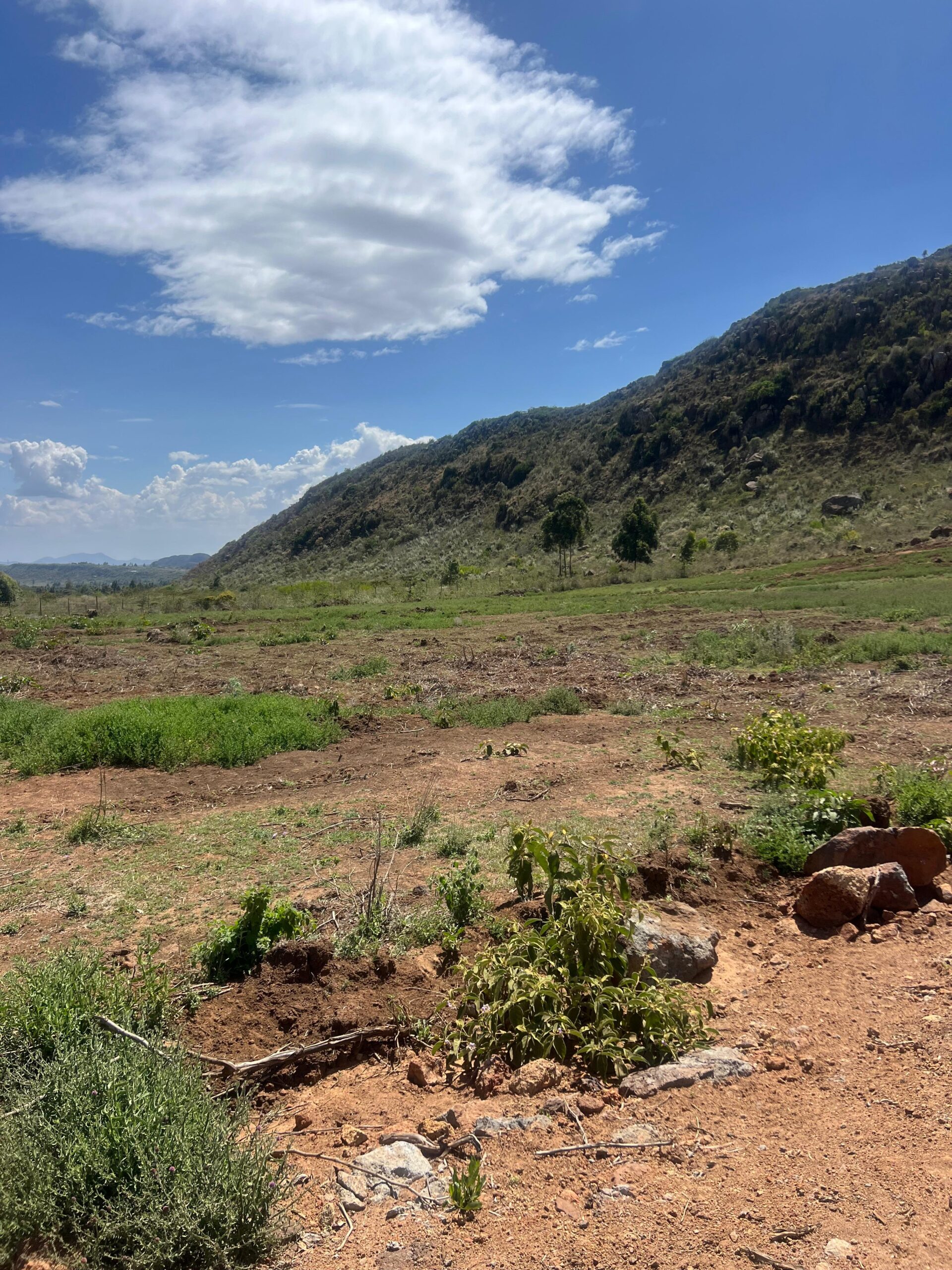 WhatsApp Image 2025-11-18 at 14.04.48 (1)