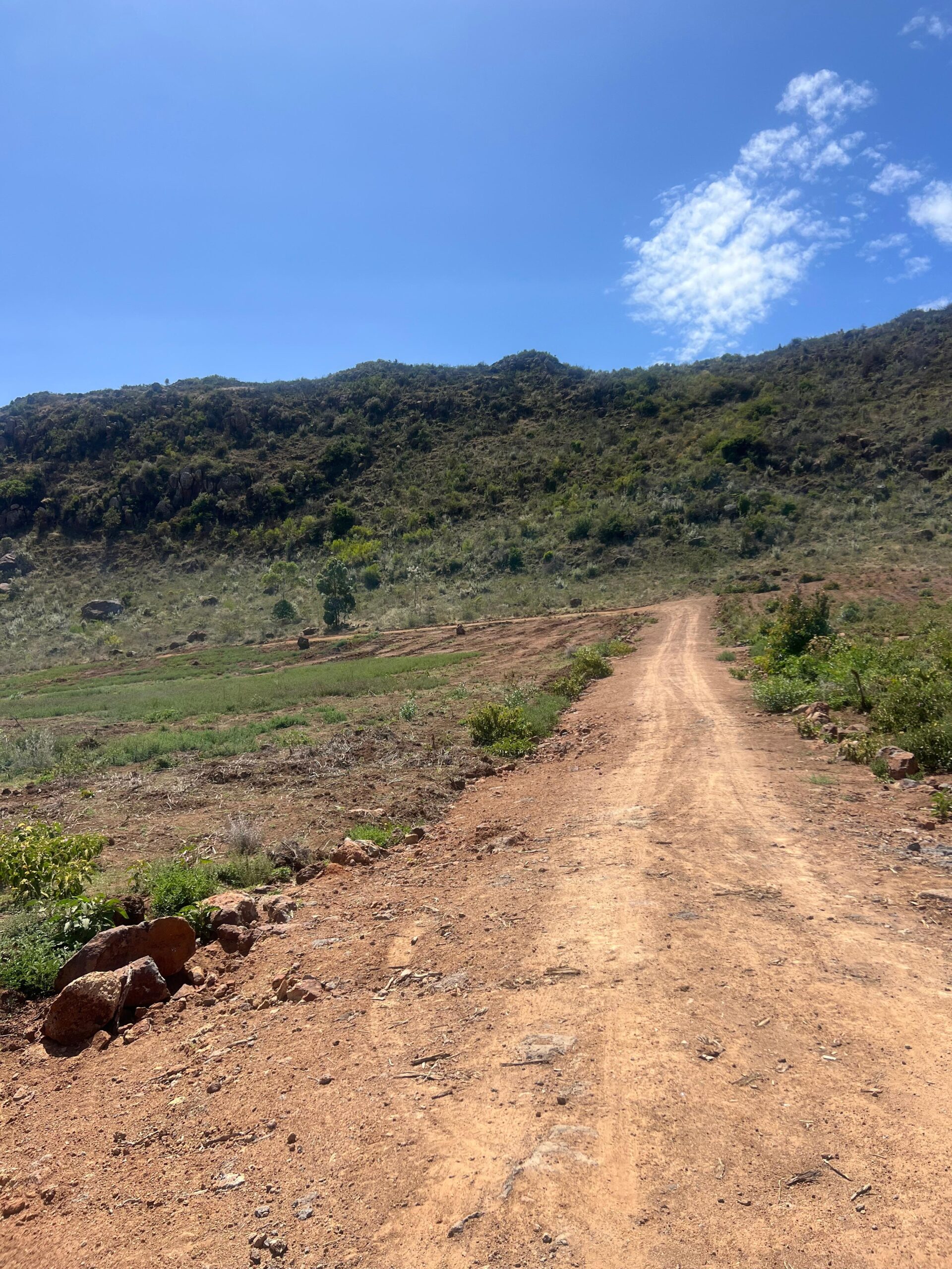 WhatsApp Image 2025-11-18 at 14.04.48 (5)