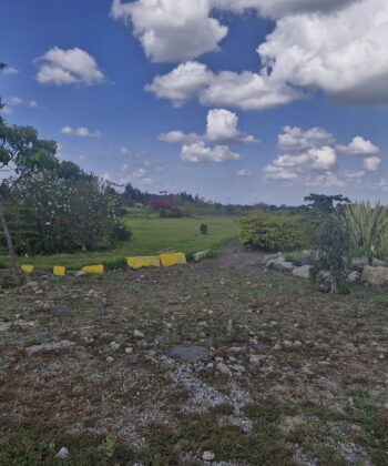 WhatsApp Image 2025-11-20 at 14.14.39 (1)