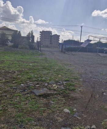 WhatsApp Image 2025-11-20 at 14.14.39 (2)