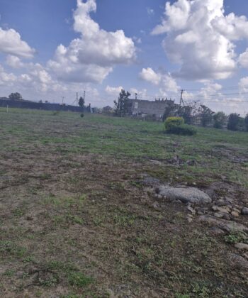 WhatsApp Image 2025-11-20 at 14.14.39