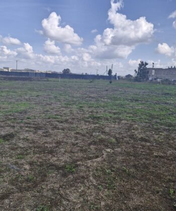 WhatsApp Image 2025-11-20 at 14.14.40