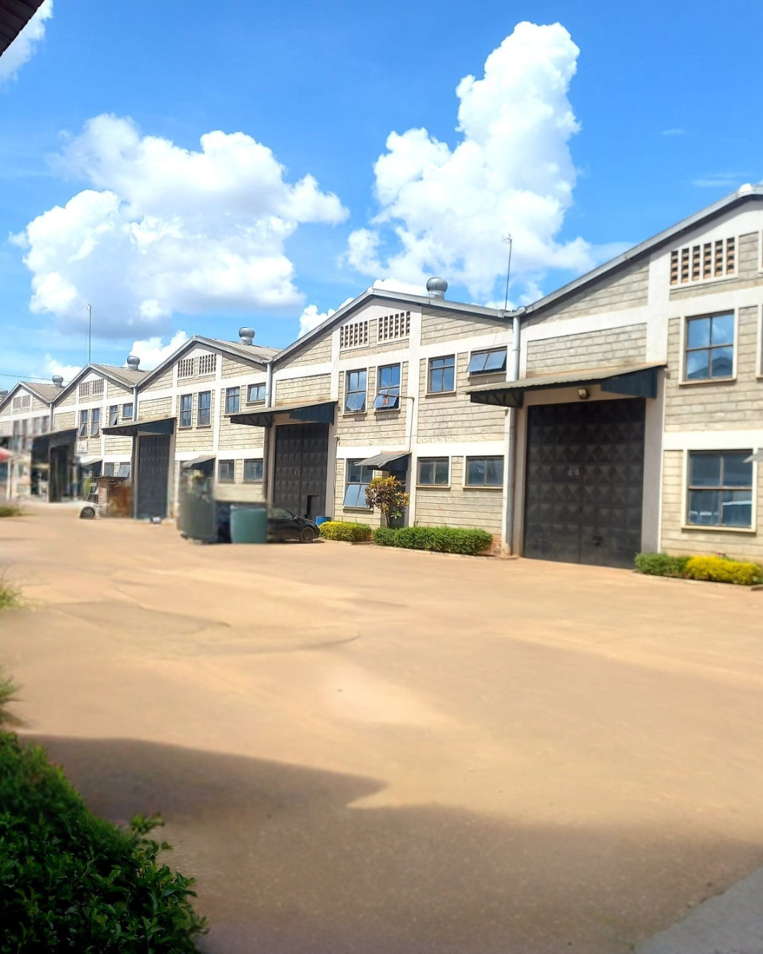 Untitled design (11)