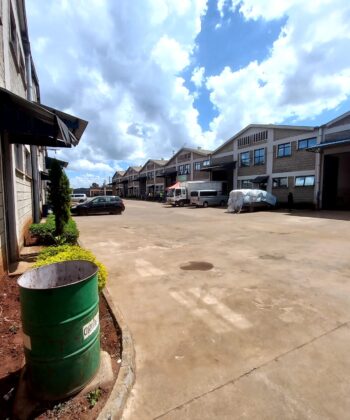 WhatsApp Image 2025-12-04 at 12.38.11 (1)