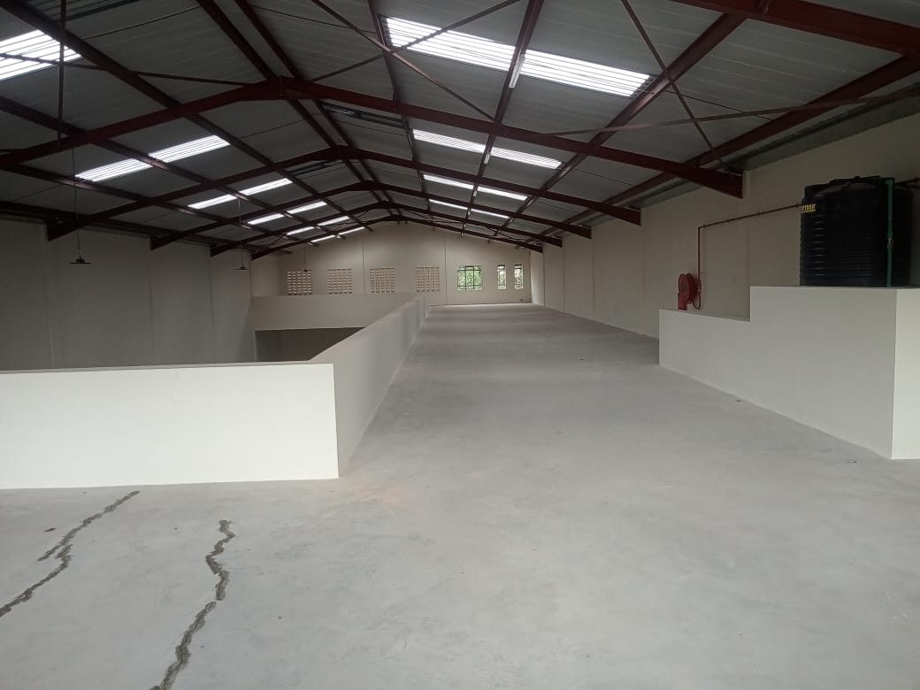 WhatsApp Image 2025-12-04 at 12.41.02 (2)