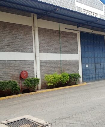 WhatsApp Image 2025-12-15 at 14.54.28 (1)