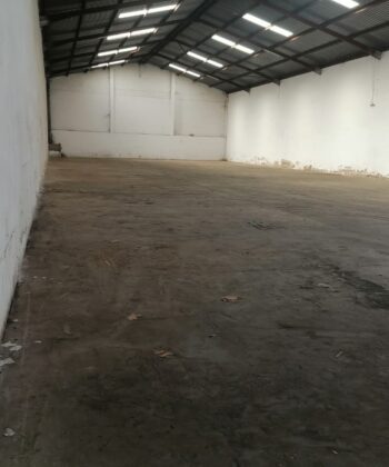 WhatsApp Image 2025-12-16 at 12.18.50